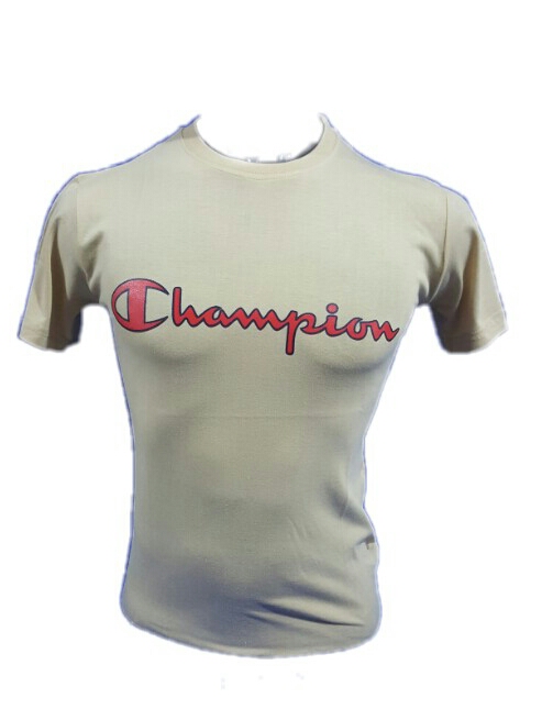 champion t shirt silver